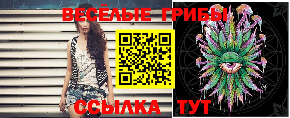 Псилоцибиновые грибы мицелий Рославль