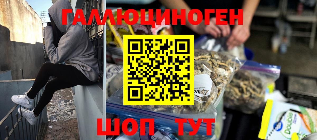 Псилоцибиновые грибы прущие грибы  Вход с VPN  Рославль 